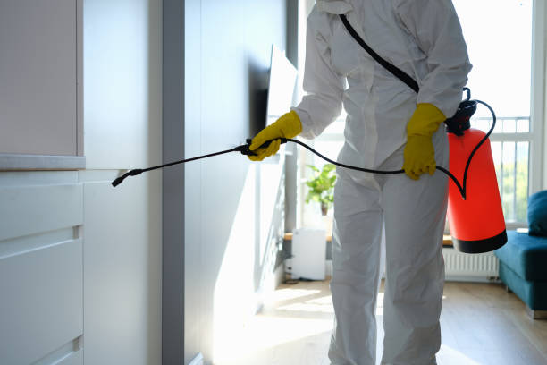 Best Residential Mold Remediation in South Dos Palos, CA