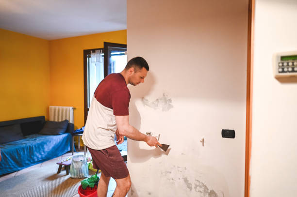 Best Industrial Mold Remediation in South Dos Palos, CA
